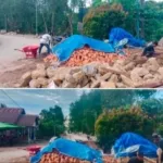 Diduga Melanggar UU KIP, Proyek Semenisasi di Gunung Tabur Berjalan Misterius Kontraktor Bungkam Saat Dikonfirmasi; LSM Cakra Siap Turun Tangan.