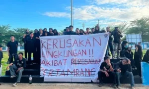 Aliansi Mahasiswa FST USN Kolaka Gelar Aksi massa, Akibat kerusakan lingkungan oleh Proyek Strategis Nasional