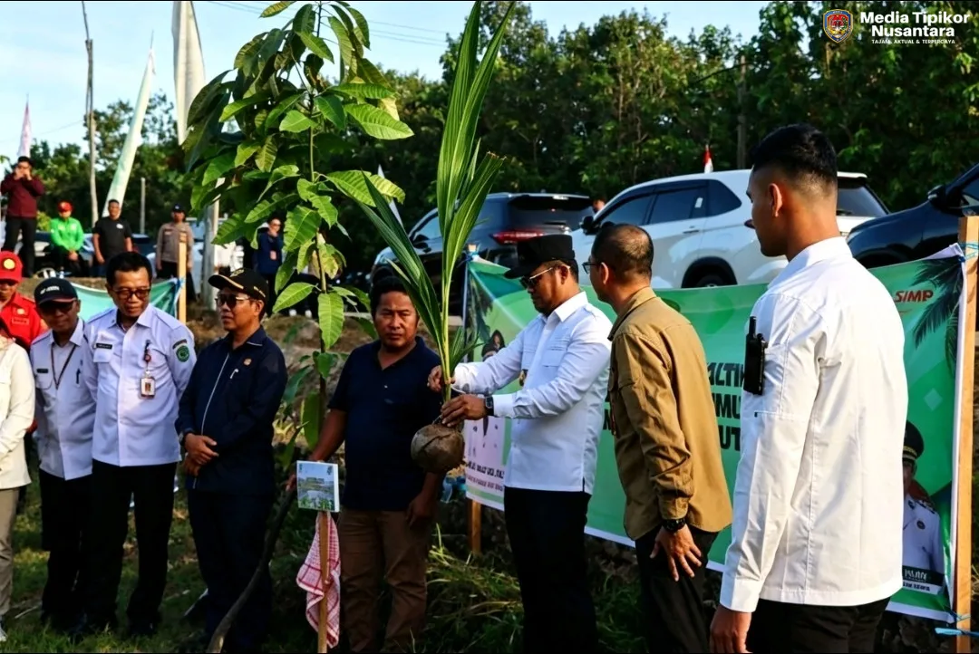 GUBERNUR RUDY MAS’UD Kembangkan Potensi Kelapa Genjah Di Penajam