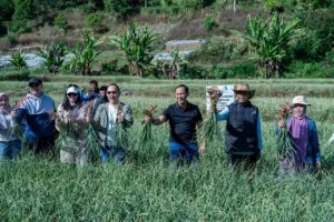 Satgas Pangan Polri Dukung Swasembada Bawang Putih:Lahan Tanam Di Sembalun Melonjak Capai 534 Hektare