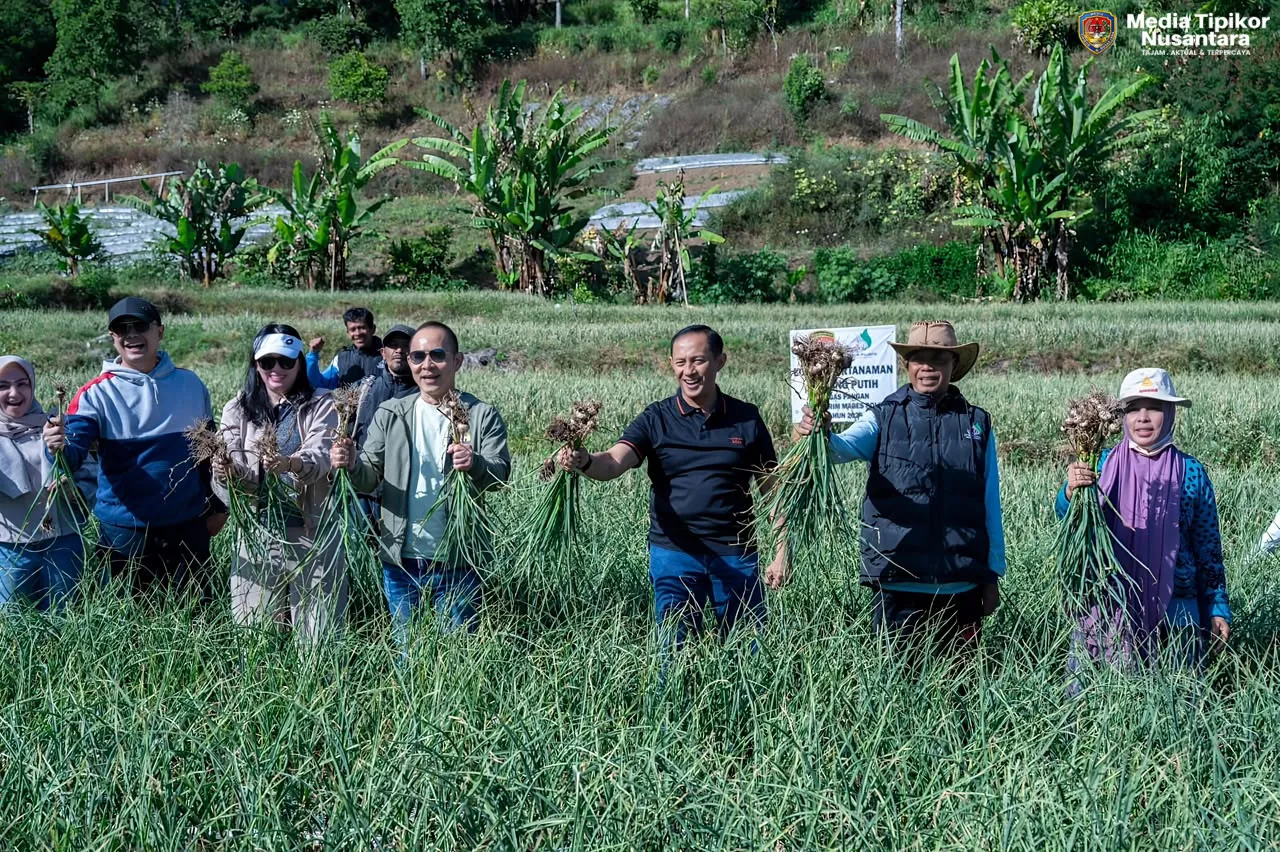 Satgas Pangan Polri Dukung Swasembada Bawang Putih:Lahan Tanam Di Sembalun Melonjak Capai 534 Hektare
