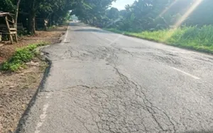 Kualitas Penambalan Jalan Nasional Bangko – Bungo Di Pertayakan,Ancaman Keselamatan Pengguna Jalan