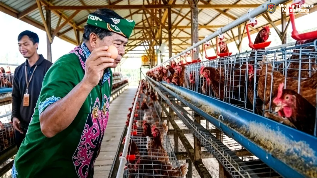 Panen Perdana Telur Kelompok Tani Tunas Harapan,Bukti Nyata Keberhasilan Program Ketahanan Pangan Kaltara