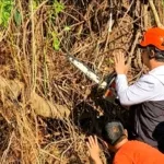 Gotong Royong Selamatkan Pohon Bersejarah 150 Tahun:Wali Kota Yogyakarta Apresiasi Empat Dan Kebersamaan Warga