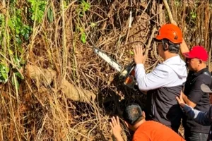 Gotong Royong Selamatkan Pohon Bersejarah 150 Tahun:Wali Kota Yogyakarta Apresiasi Empat Dan Kebersamaan Warga