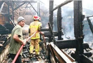 Musibah kebakaran Kandang di Pandegelang:104 Ekor Domba Garut Ludes,Kerugian Capai 380 juta