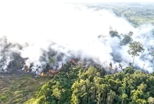 Dua Titik Kebakaran Melanda Bulungan Dalam Sehari,15 Hektar Lahan milik PT.PKN Hangus