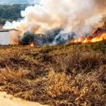 Warga Sajau Hilir Kewalahan Hadapi Karhutla Berdarat, Api Berkobar di Empat Kawasan Sekaligus